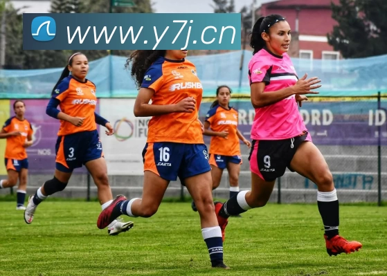 米兰app入口站官网 - 米兰中国平台生态图